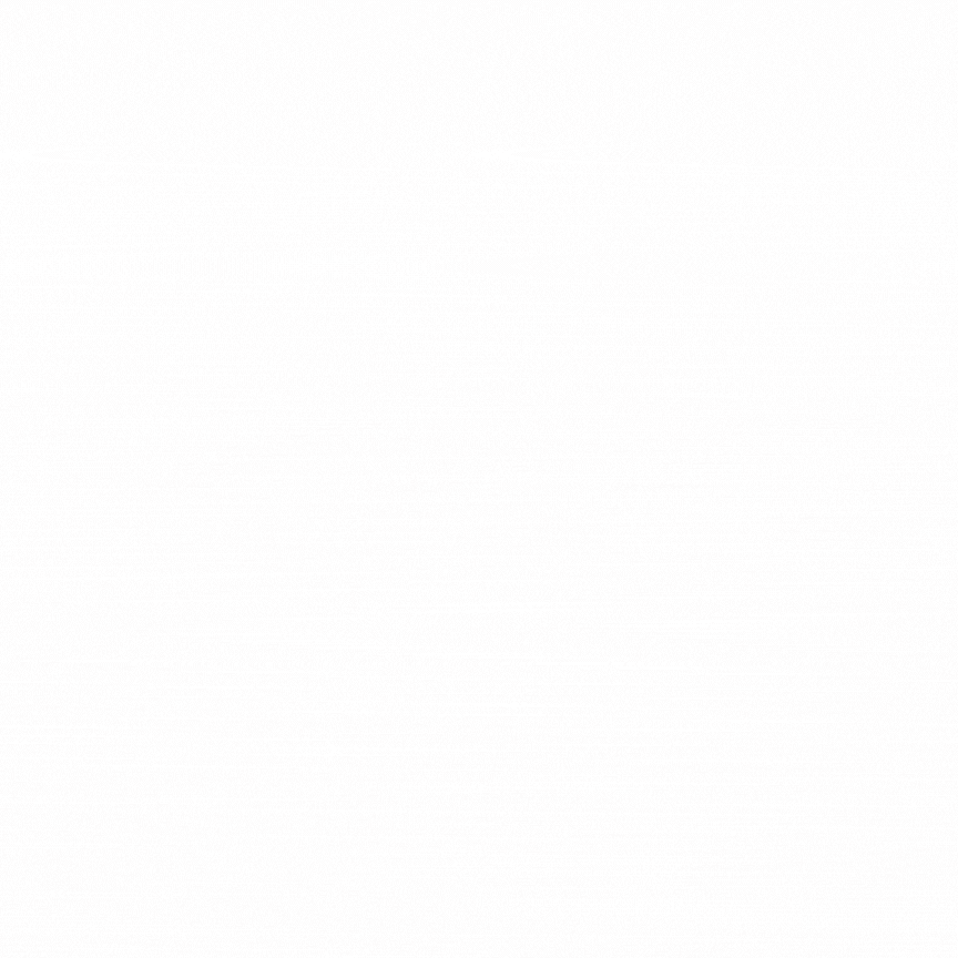 this slowpoke moves