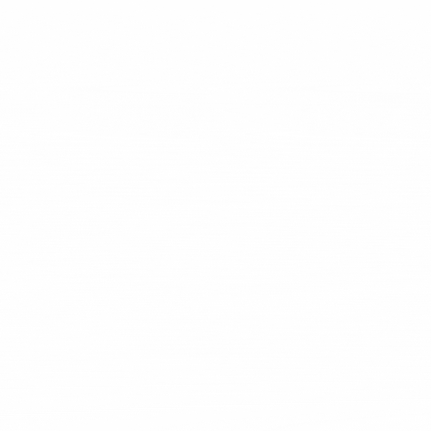 this slowpoke moves