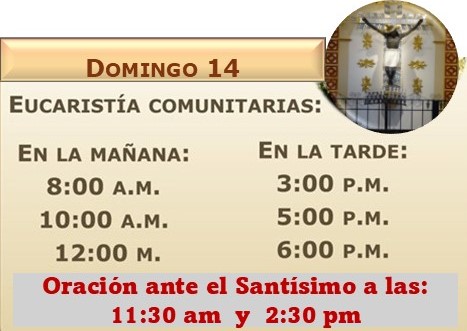 Domingo 14 Señorde los Milagros