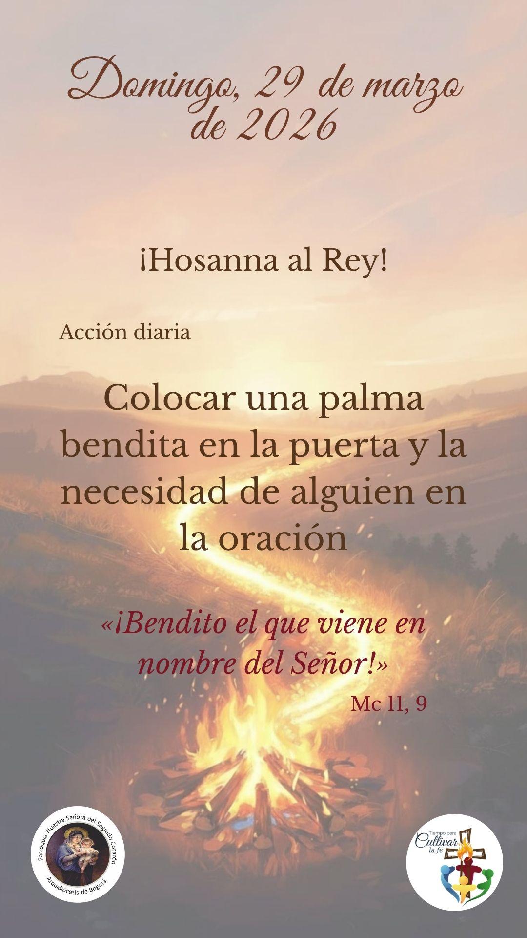 Domingo de ramos.jpeg