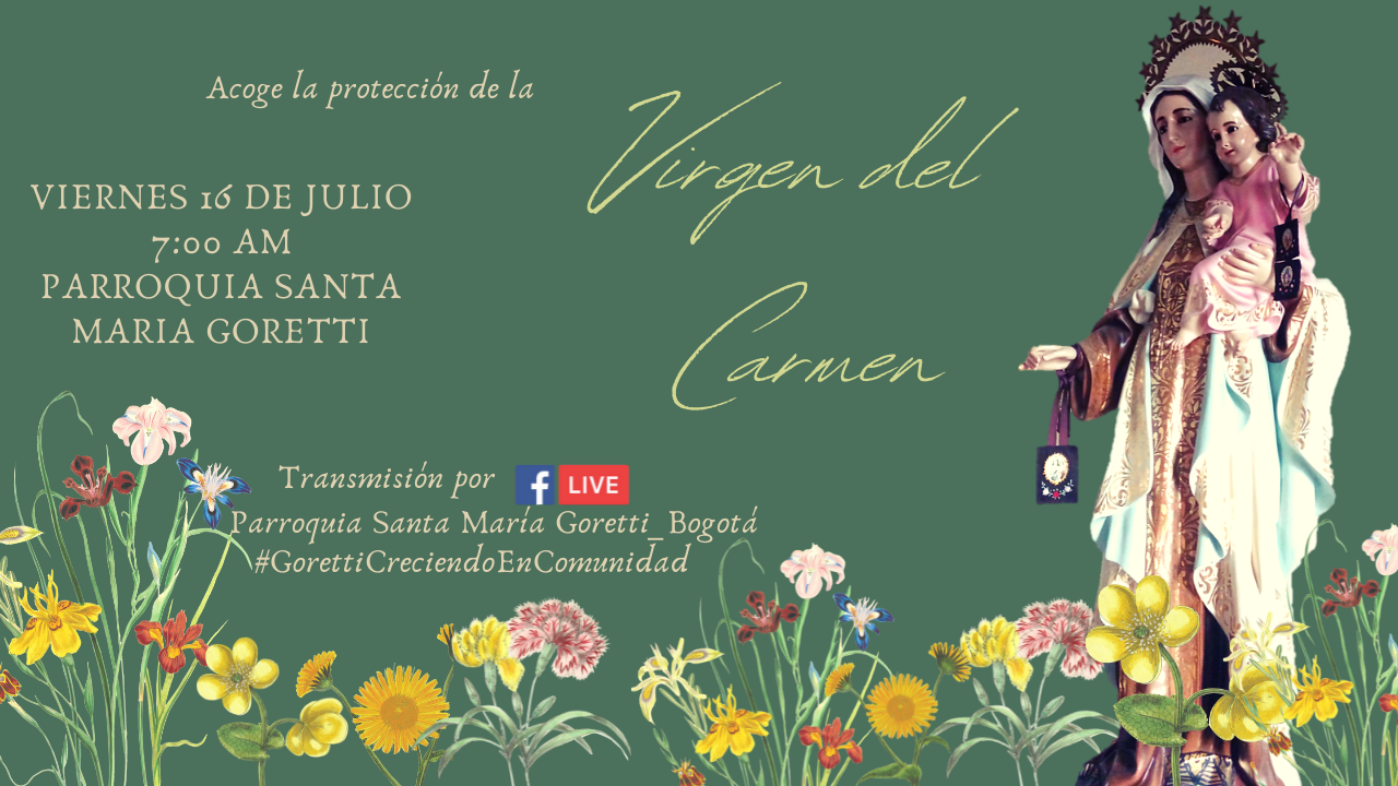 Fiesta Virgen del Carmen
