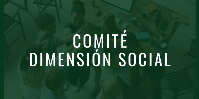 comité dimensión social