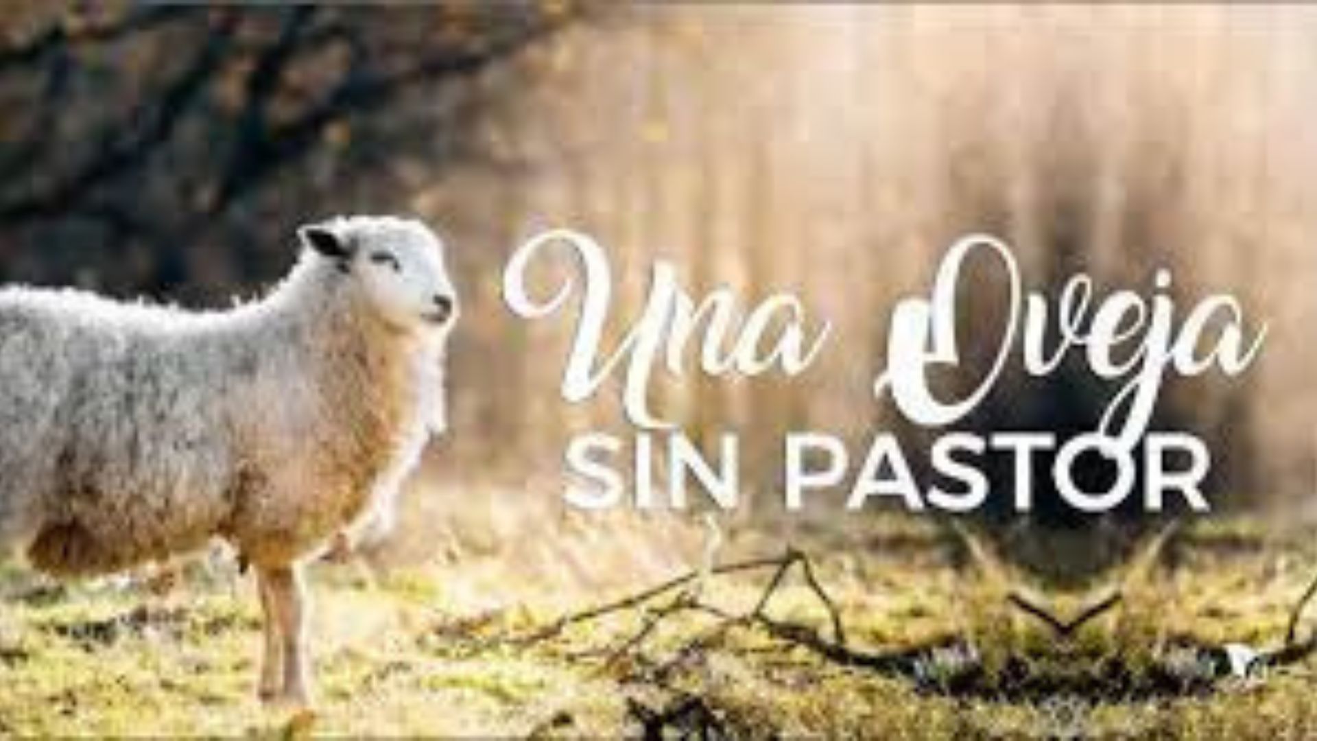 misa
