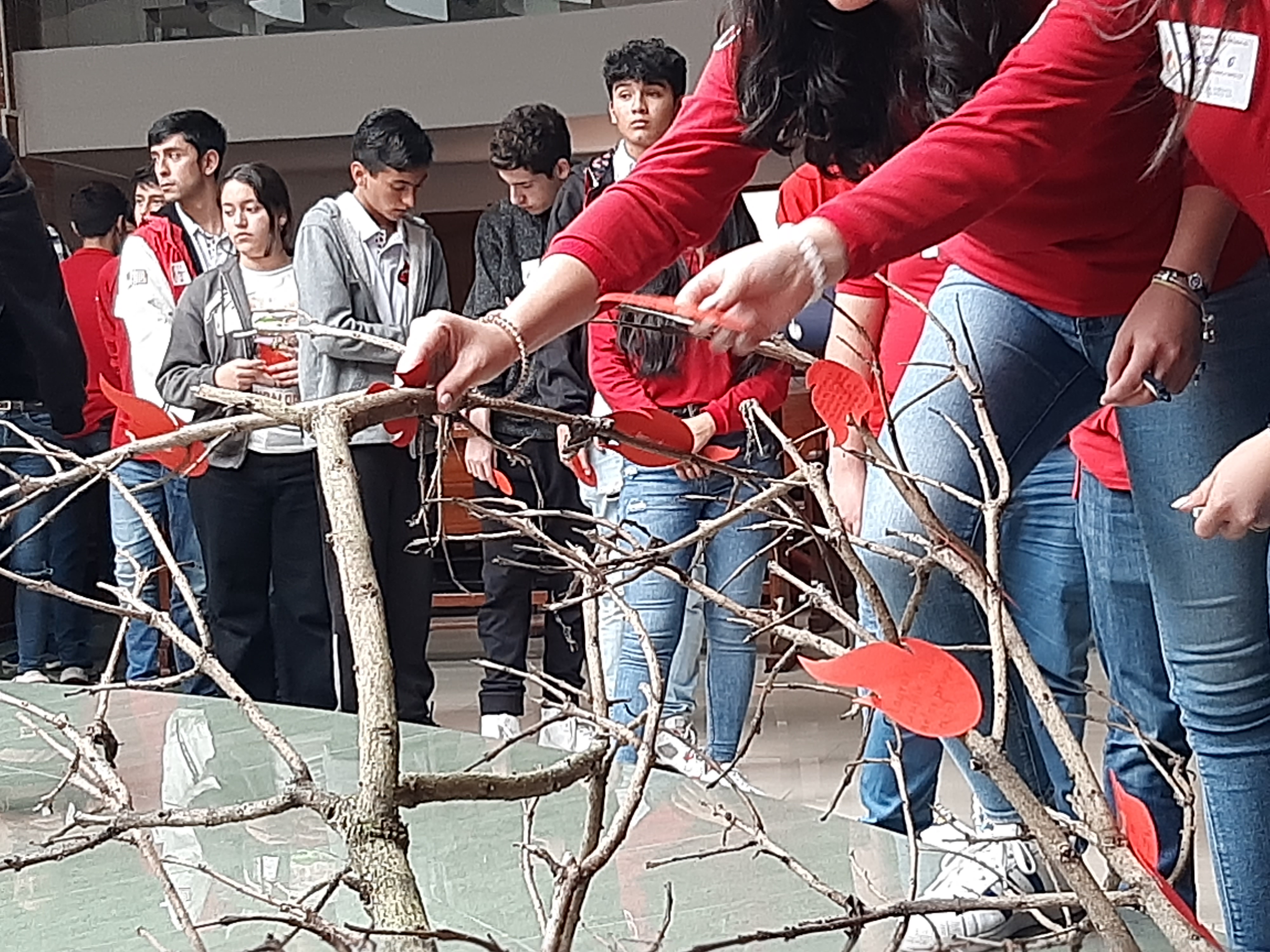 jovenes