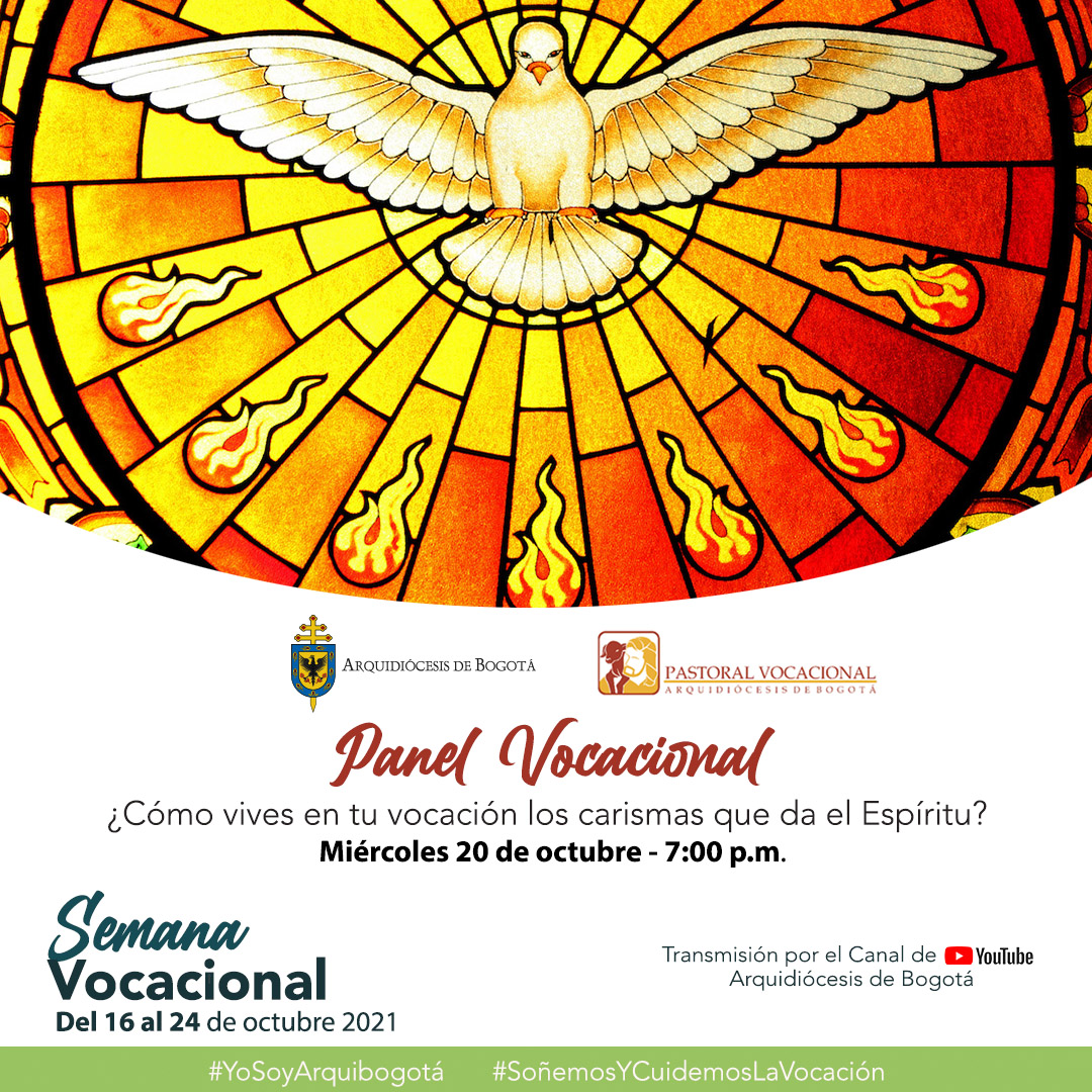 Panel vocacional