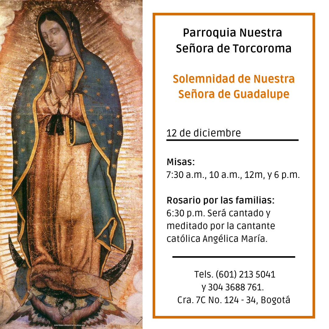 Celebración a la Virgen de Guadalupe