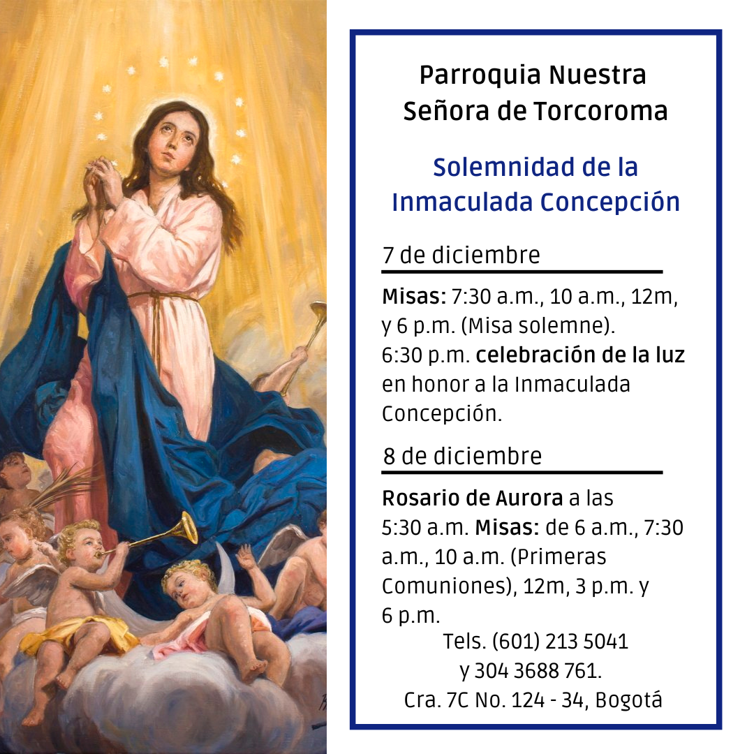 Celebracion Inmaculada Concepción