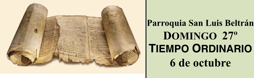 https://arquimedia.s3.amazonaws.com/280/evangelio-dominical/imagen-comentarios-889jpg.jpg