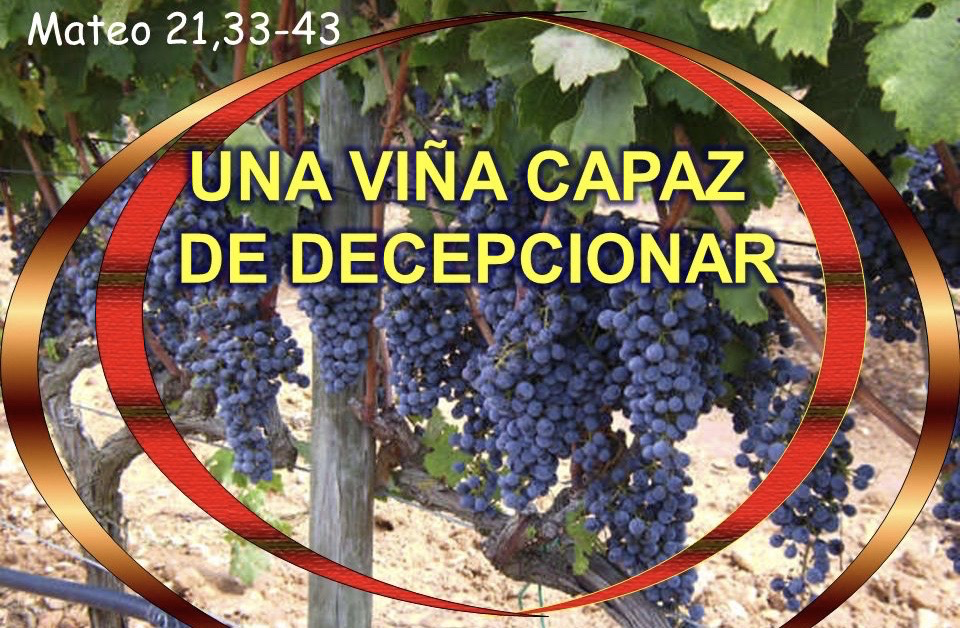 https://arquimedia.s3.amazonaws.com/280/evangelio-dominical/imagen-meditacion-4-de-octubre-de-2020png.png