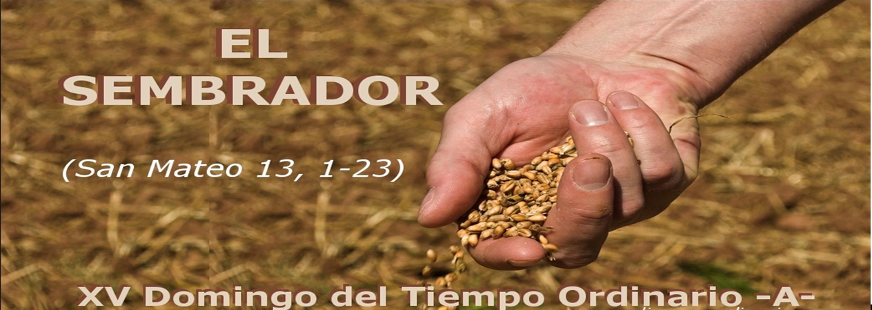 https://arquimedia.s3.amazonaws.com/280/evangelio-dominical/imagen-meditacion-el-sembradorpng.png