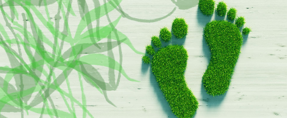 https://arquimedia.s3.amazonaws.com/375/confirmaciones/20181123-todo-lo-que-debes-saber-sobre-la-huella-ecologicajpg.jpg