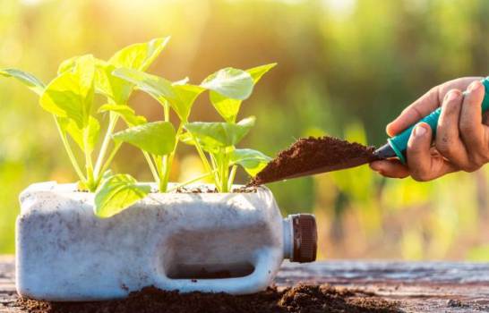 https://arquimedia.s3.amazonaws.com/375/confirmaciones/gente-plantando-vegetales-botella-plastico-30478-4053-13841149-20200507140510jpg.jpg