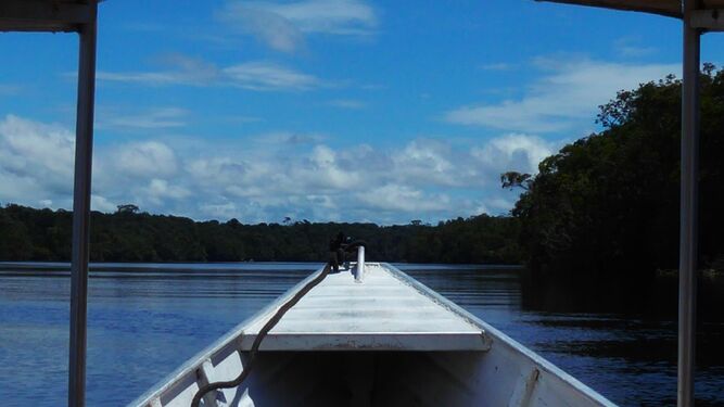 https://arquimedia.s3.amazonaws.com/375/vicaria/amazonia-2158894101-13911896-667x375jpg.jpg
