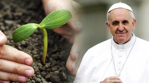 https://arquimedia.s3.amazonaws.com/375/confirmaciones/papa-7jpg.jpg