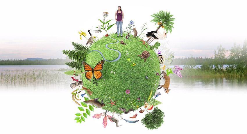 https://arquimedia.s3.amazonaws.com/375/vicaria/img-salvar-la-biodiversidad-un-desafio-global-570-origjpg.jpg