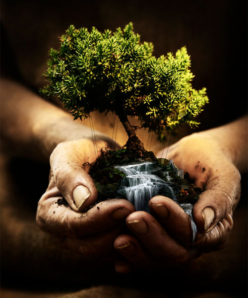 https://arquimedia.s3.amazonaws.com/375/confirmaciones/naturaleza-bienestarjpg.jpg