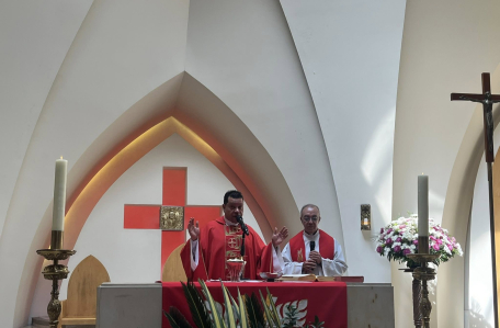 Domingo ramos