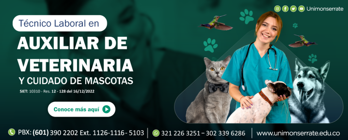 auxiliar