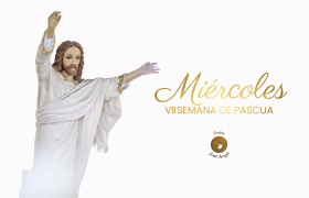 evangelio del dia