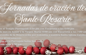 Jornadas para orar juntos el Santo Rosario