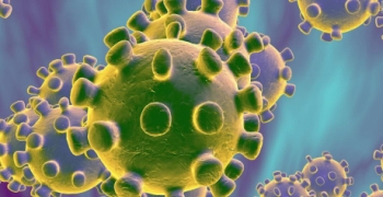 https://arquimedia.s3.amazonaws.com/203/varias/200210135906-coronavirus-cell-full-169jpg.jpg